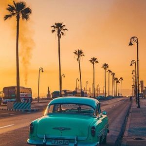 Meet your Posher, Rima